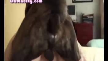 Crazy cam sex with animals in amateur zoophilia