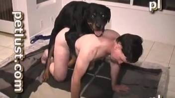 Big-dicked dude fucking a really dominant doggo here