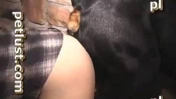 Black dog fucks naked female big time