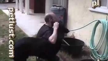 Black dog pounds my husband in doggy style pose