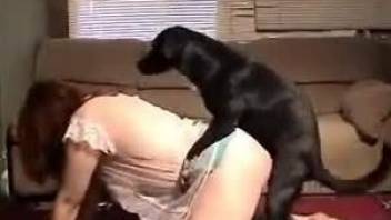 Dog fucks mature woman until she reaches orgasm