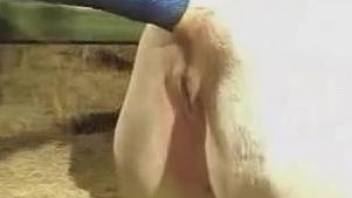 Special kink for a man avid to deep fuck the horse's wet pussy