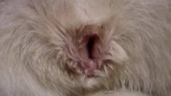 Guy stimulates wet vagina of his white kitty