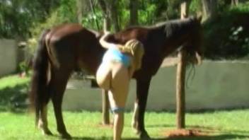 Outdoor nudity next to a horse before a good zoo shag