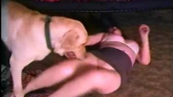 dog fuck xxx video