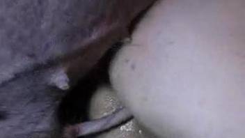 Pig ass fucks naked gay man and cums on his ass