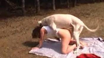 Nasty zoophile chick fucks a dog during her picnic