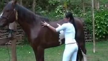 Ponytailed Latina strips to seduce a kinky pony