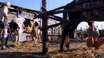 Two uninhibited girls from country have fun with horse and cow