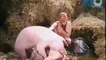 Sexy pig fucking a much sexier gal in an FFM