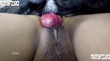 Trimmed pussy Latina enjoying a very deep dicking