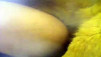 Hairy booty dude enjoying hardcore banging up close