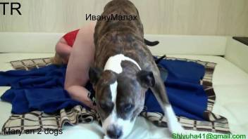 Bleeding pussy beauty enjoys hardcore sex with a dog