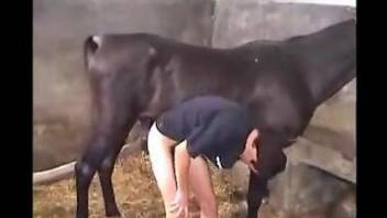 Dark-haired guy sucking on a stallion's hot boner