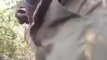 Guy's stiff penis pleasuring a dog's greedy cavity