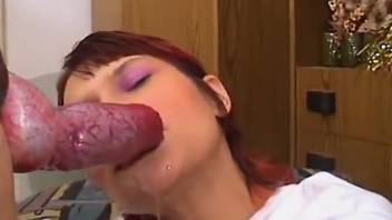 Redheaded beauty deepthroating a dog's hard cock