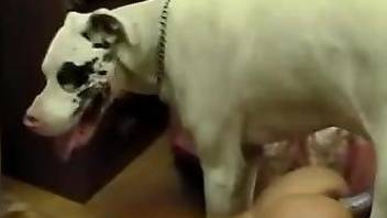 Blonde masturbates before banging a horny doggo