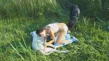 Skanky brunette fucks animals in an outdoor gang-bang