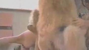 Retro hotties shaving pussies and fucking animals