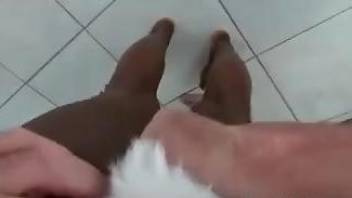 Hot ebony stunner gets dicked by a dirty doggo