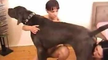 Brunette helps another brunette fuck her first dog