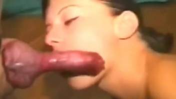 Sexy babe sucks the dog's dick very hard and sloppy