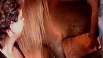 Fine mature shoves entire horse penis into her wet holes