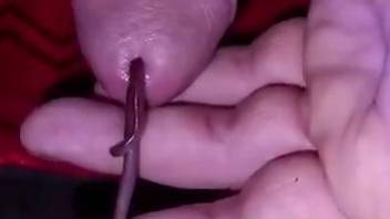 Home solo zoophilia masturbation with worms in the cock