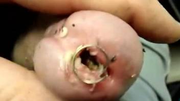 Aroused man inserts worms in the cock for brutal perversions