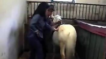 Pony with a nice cock enjoys a handjob in the barn