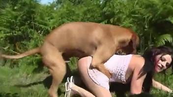 Big bad bitch getting banged by a horny doggo