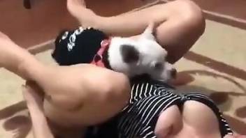 Tiny animal fucking a slutty zoophile on the floor