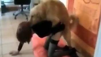 Masked gal showing her affinity for dog penises