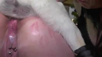 Santa's girls enjoying hard animal dicks in HD