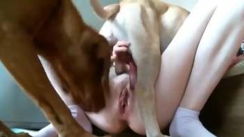 Pale skinned lady enjoying a dog's stiff cock