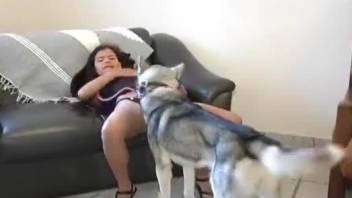 Skinny brunette sucks cock of husky until it erupts on her face