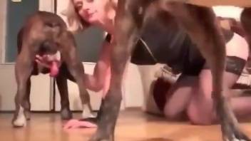 Attractive amateur deepthroating an animal's penis