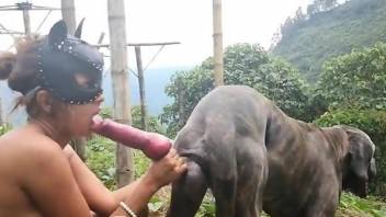 Needy woman throats the stiff dog dick while filmed