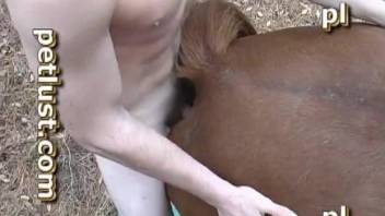 Man deep fucks the horse in merciless modes