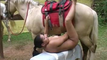 Outdoor horse fucking movie