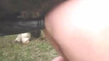Aroused bestiality lover savors rough anal intercourse with a horse
