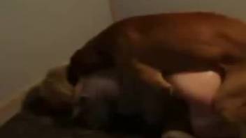 Blonde fucks with dog