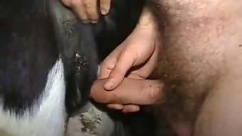 Men & women having sex with animals on cam