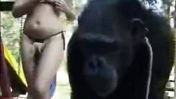 blonde and chimpanzee animal sex