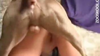 dog fuck girl