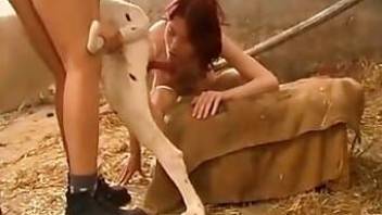 Redheaded beauty blows a kinky dog