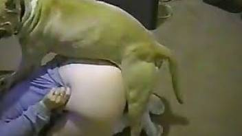 Retro girl dog sex video with hot close-ups