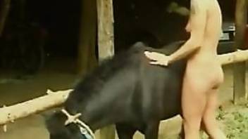 Redheaded beauty sucking a pony cock