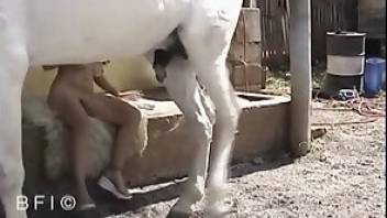 Wonderful horse fuck scene set outdoors