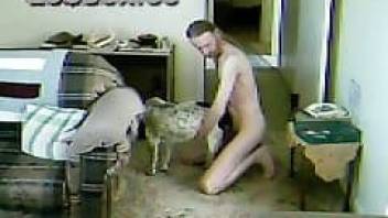 Horny man fucking animal on the camera